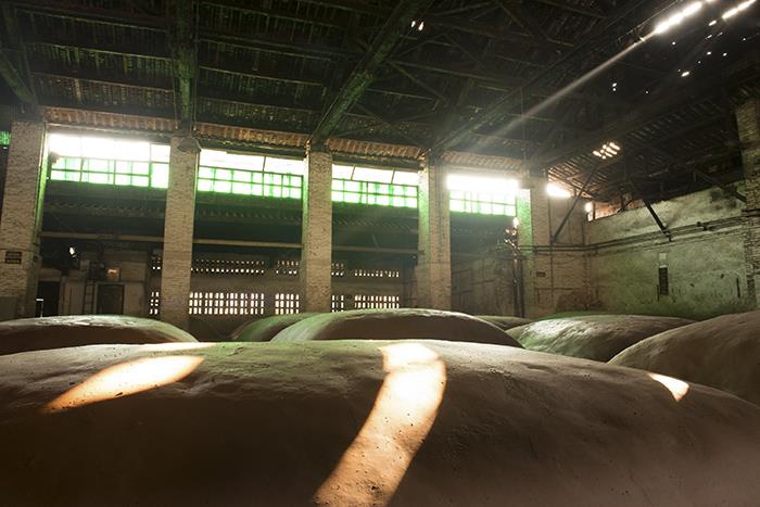 pp电子·模拟器(试玩游戏)官方网站